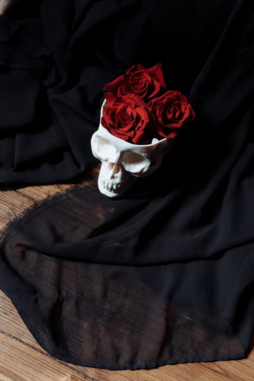 Free Red Roses in a Skull Stock Photo