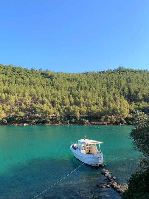 White Boat on a Blue Sea Near Green Trees