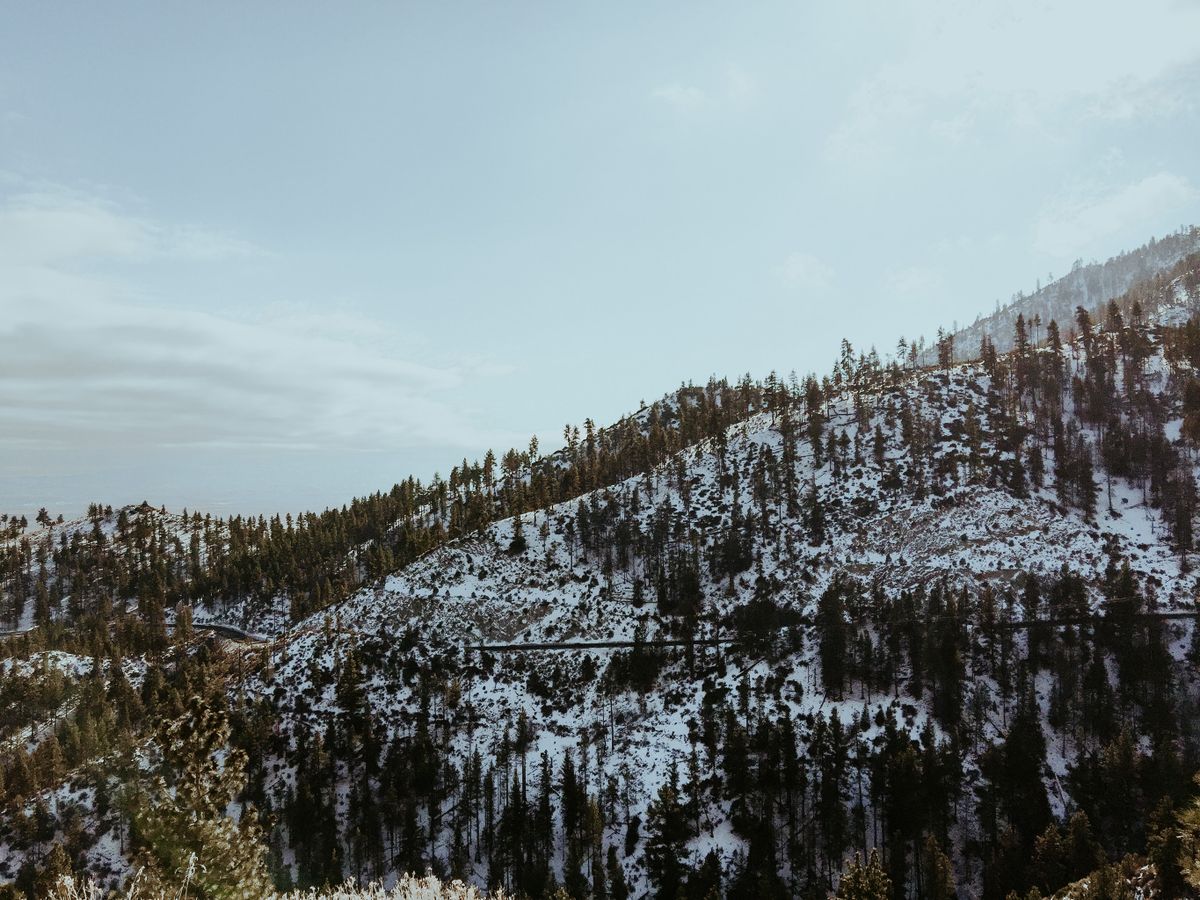 Snow-covered hills and trees in Reno, Nevada in winter