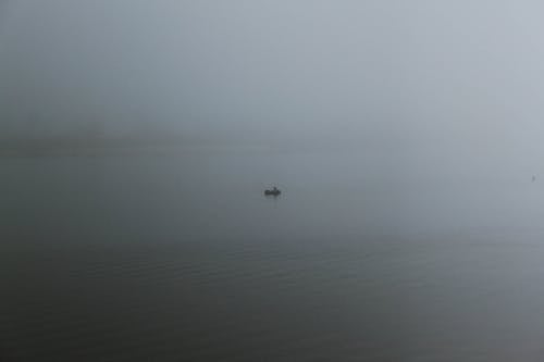 Free stock photo of boat, fog, gray