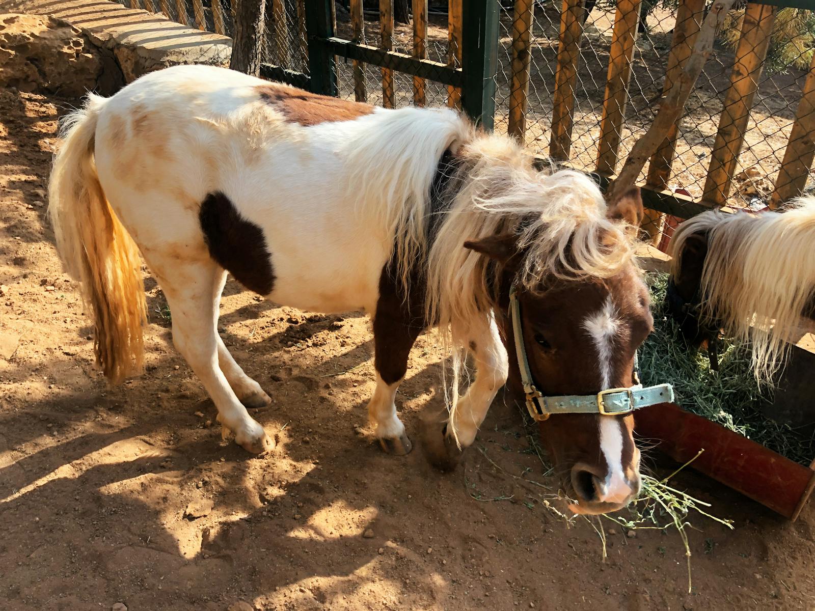 Close-up of vaccine vials labeled for respiratory viruses