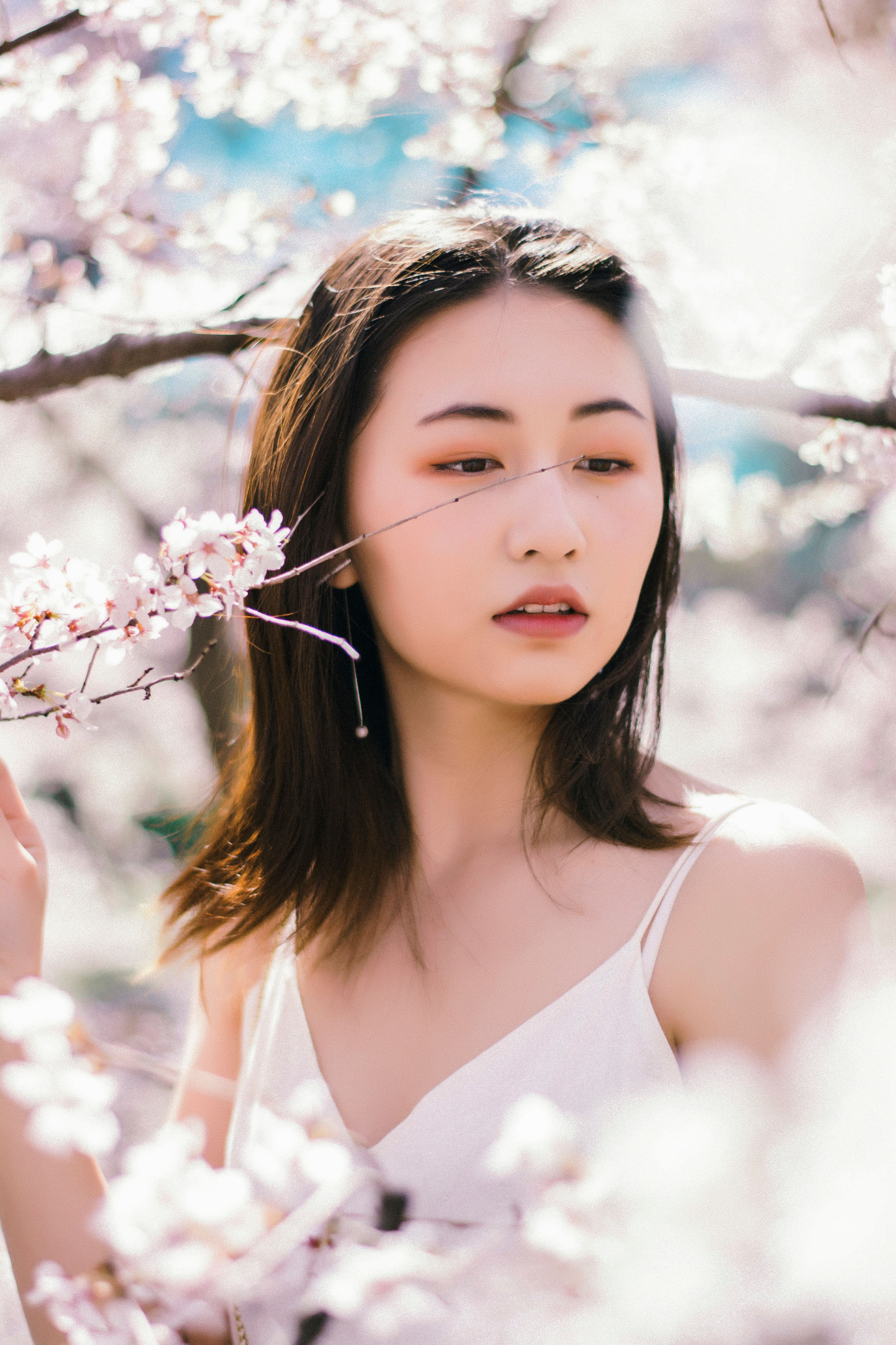 4 000+ Im_cherry_blossom+onlyfans+leaks banque d’images et photos