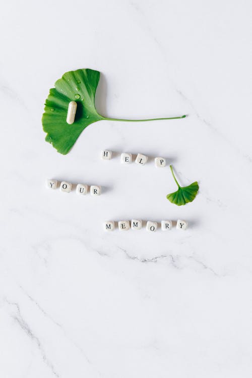 Free Letter Blocks and a Capsule on a Green Leaf Stock Photo