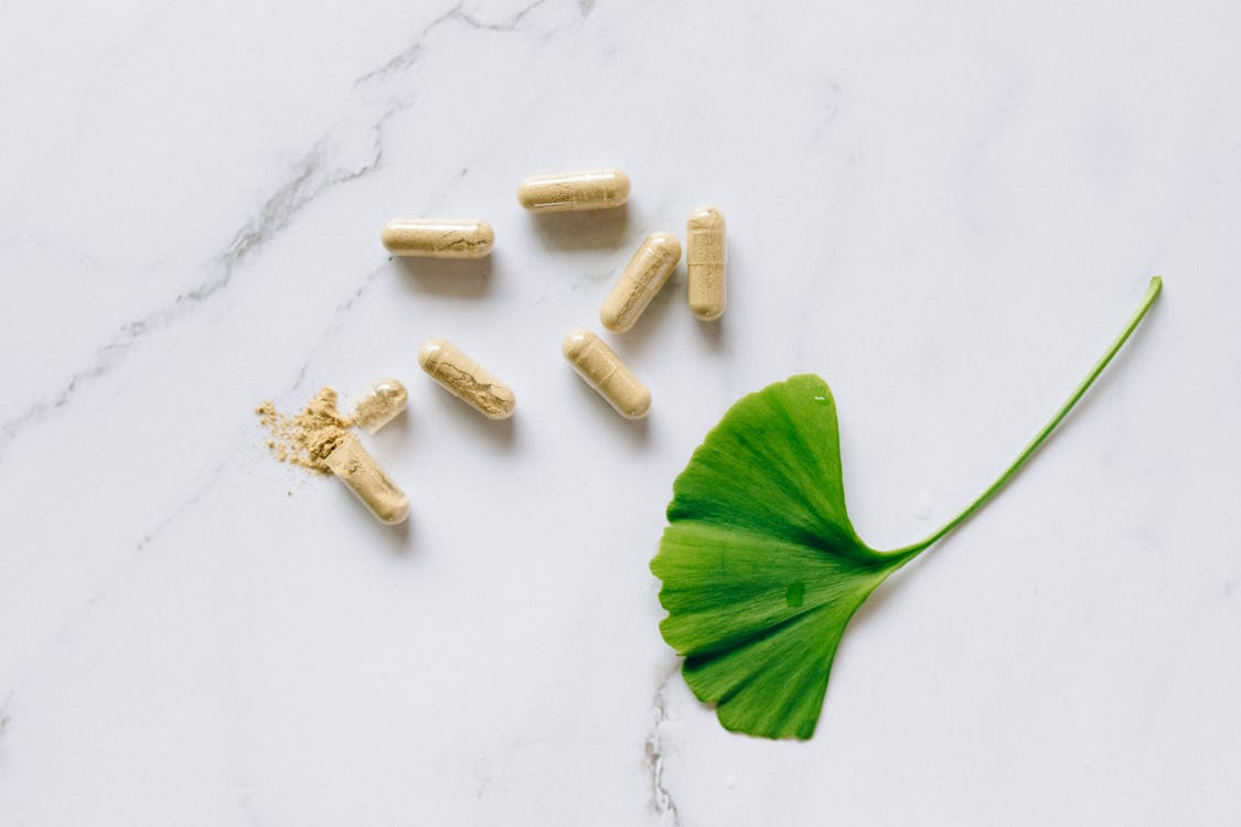 Free Ginkgo Leaf and Capsules Stock Photo