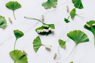 Arranged Ginkgo Leaves and Capsules on Marble Surface