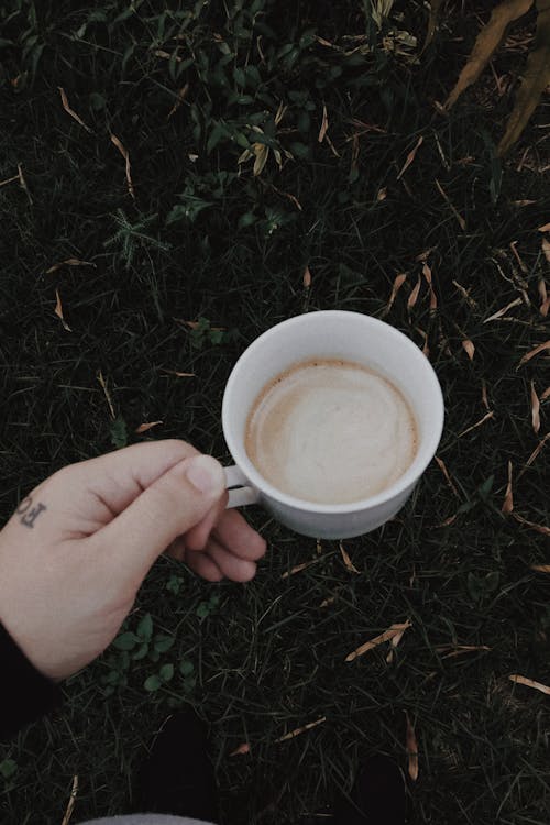 Foto profissional grátis de alça, café, cafeína