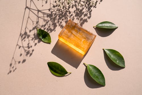Free Leaves around a Bar of Soap  Stock Photo
