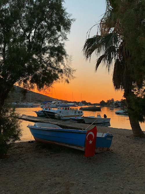 

Boats Docked in a Port