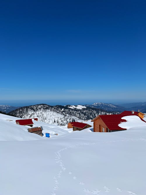 Red Houses on a Snow Covered Ground Under a Clear Blue Sky