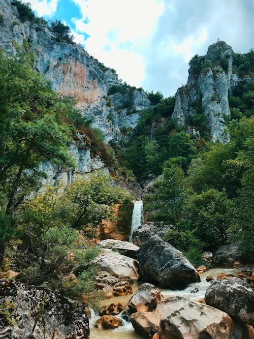 Green Trees Near Waterfalls on a Rocky Mountain