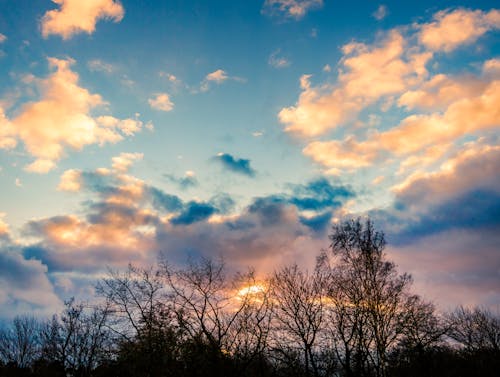 Kostnadsfri bild av blå himmel, gyllene sol, gyllene timmen