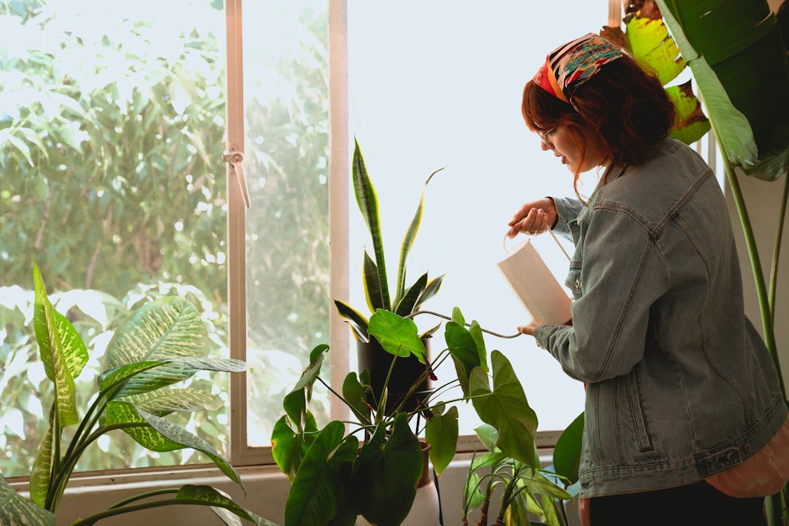 Free Woman Taking Care of Her Houseplants Stock Photo
