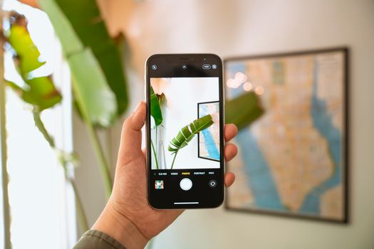 A hand holds a smartphone capturing an indoor leaf with map in the background.