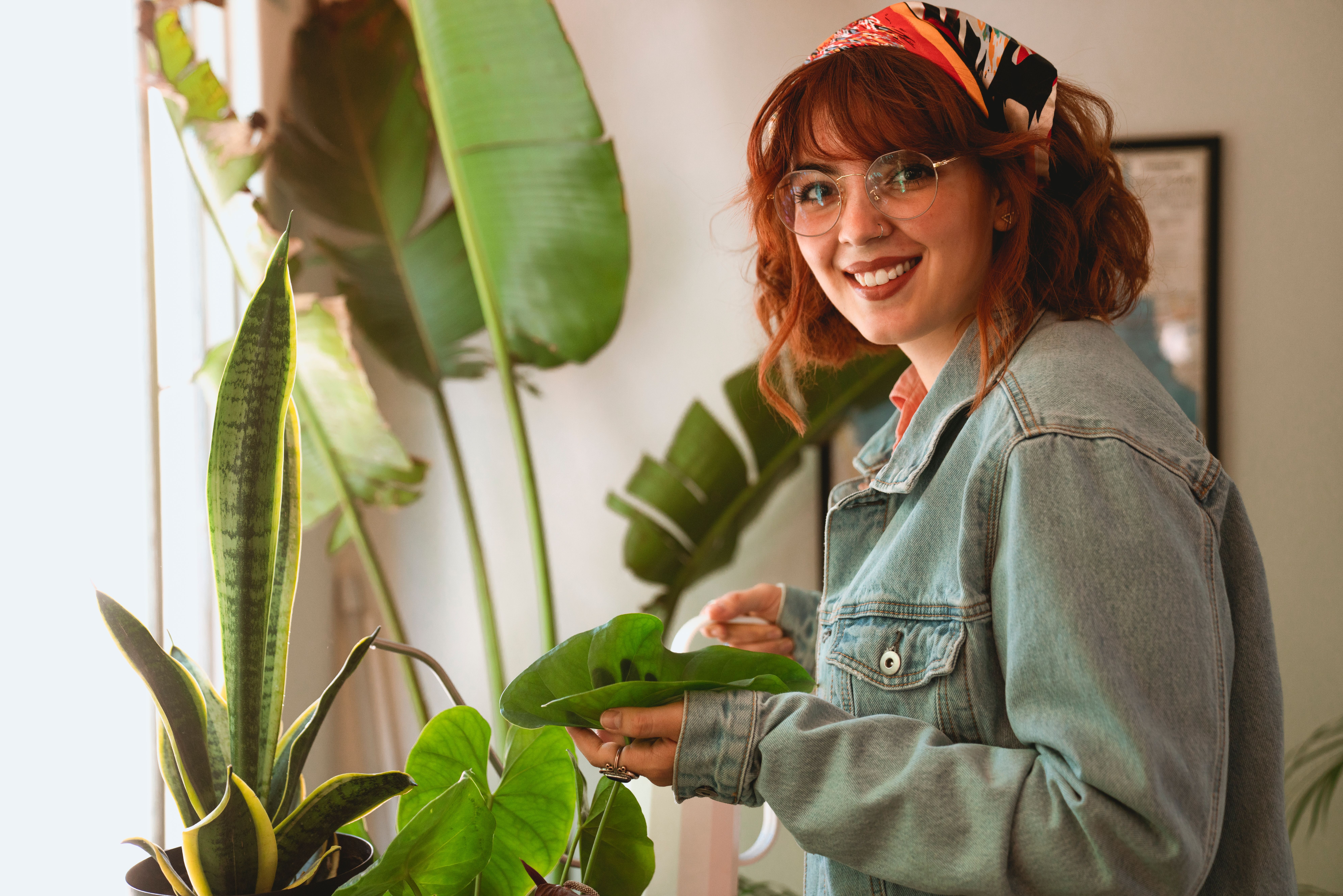 L’art de l’arrosage différé pour vos plantes d’intérieur : la technique de la mèche capillaire qui l