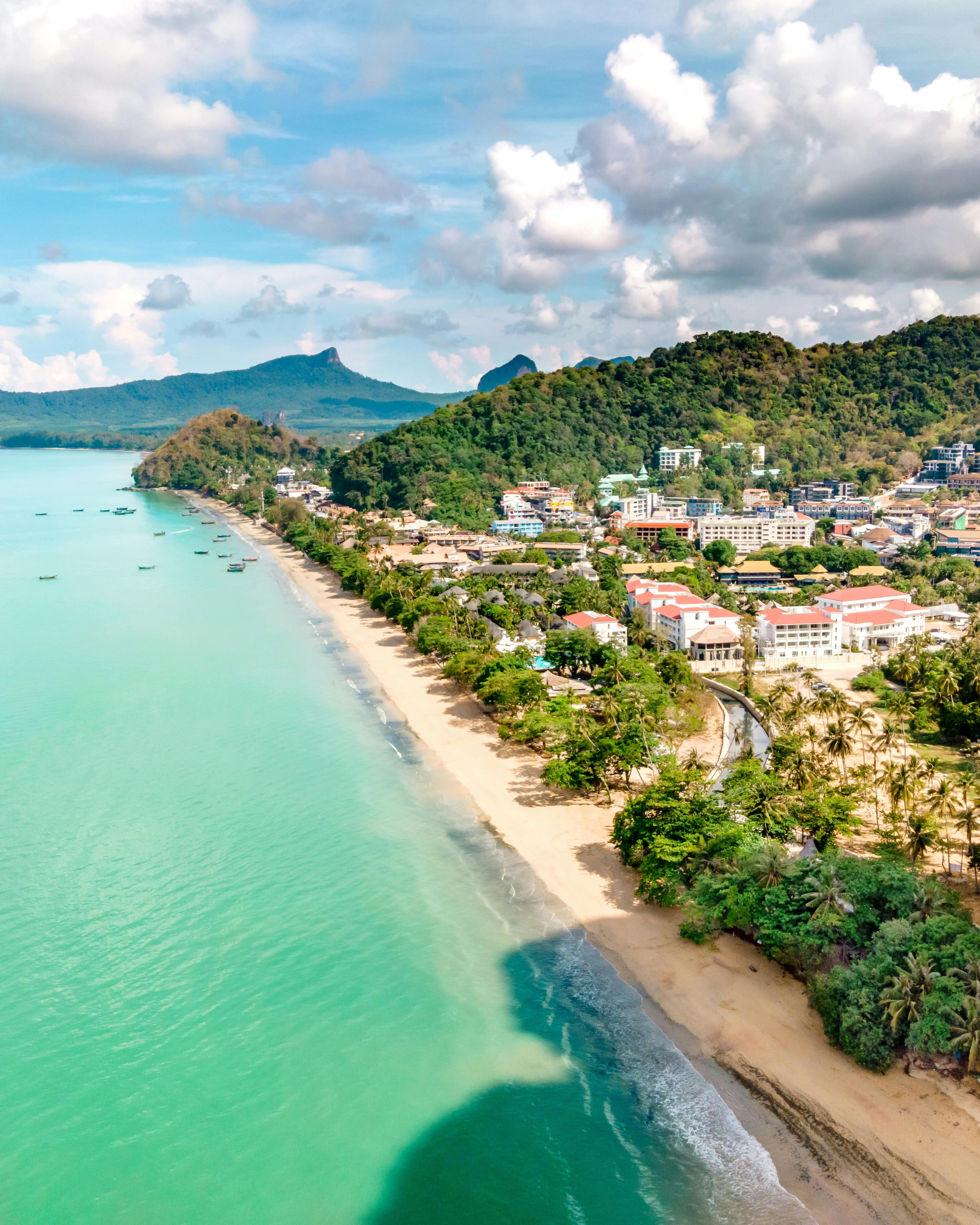 aerial view of green trees near the ocean