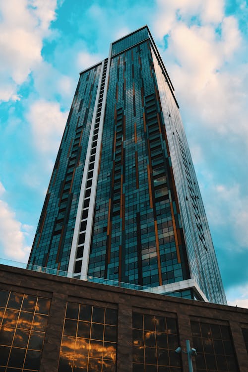 무료 흑인과 백인 콘크리트 건물 스톡 사진