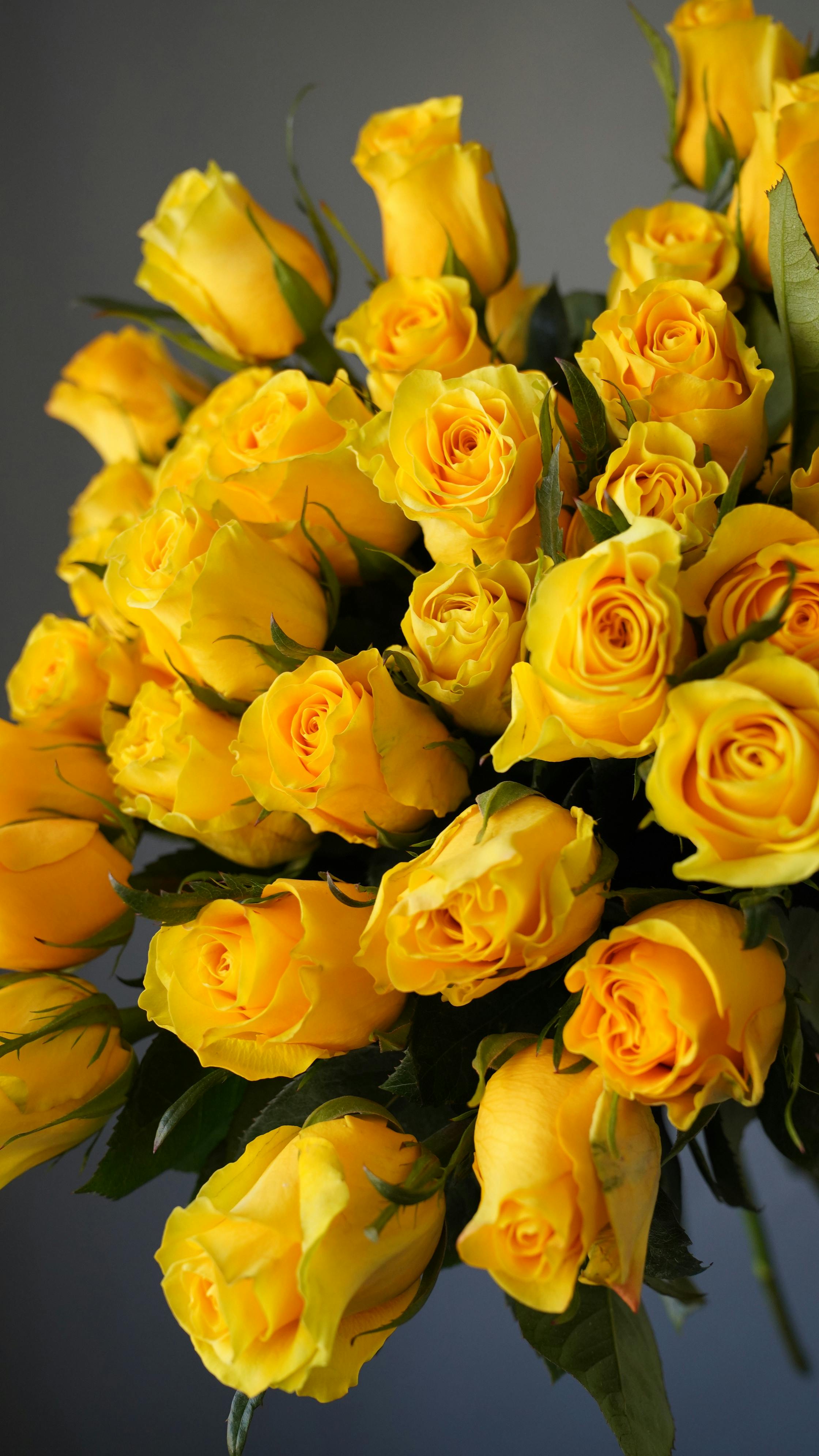 bouquet of fresh yellow roses in gray studio