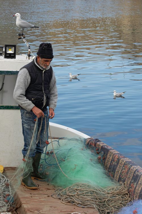 Free An elderly man managing fishing nets on a boat in Gallipoli with seagulls nearby. Stock Photo