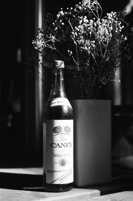 A black and white still life photo featuring a rum bottle beside a vase of flowers, casting dramatic shadows.