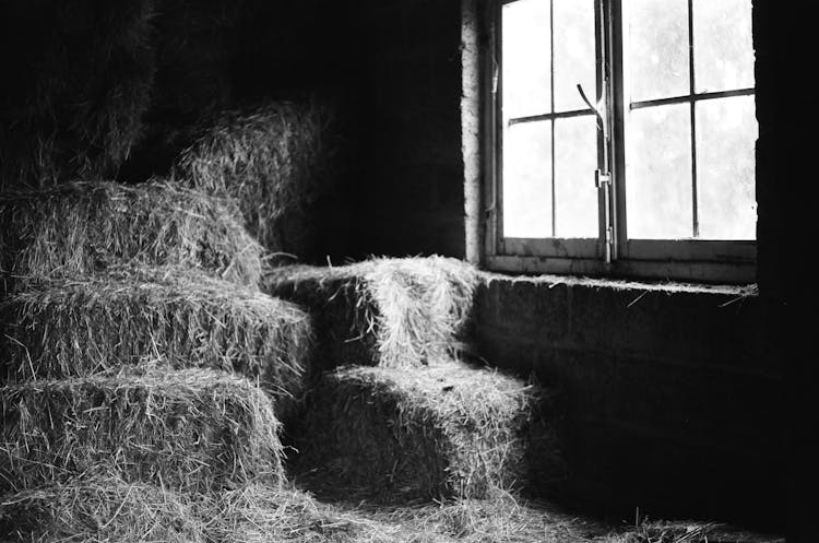 Pile Of Hay Near A Glass Window