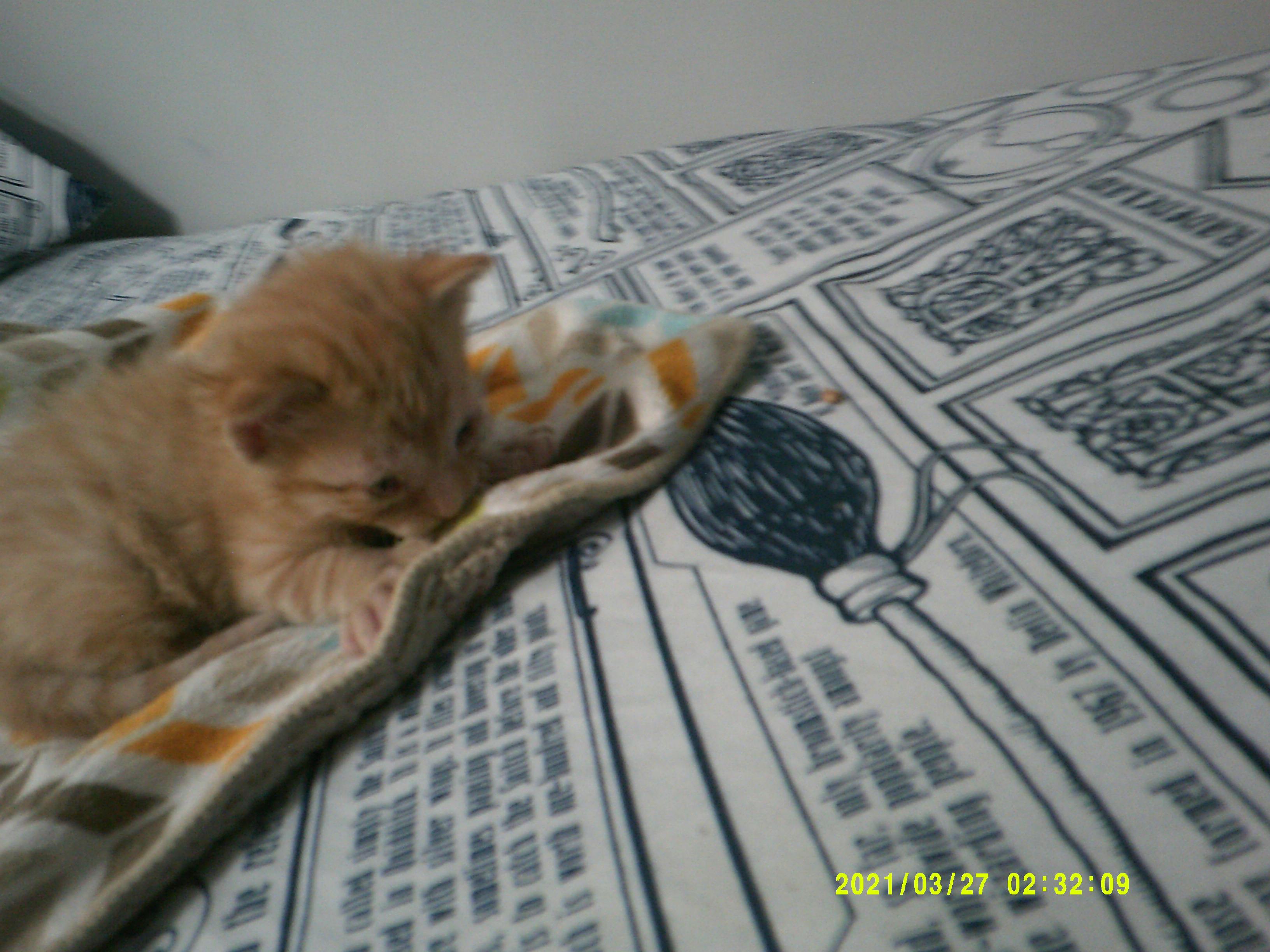 Um homem examinando um sérum de luxo com foco na ciência