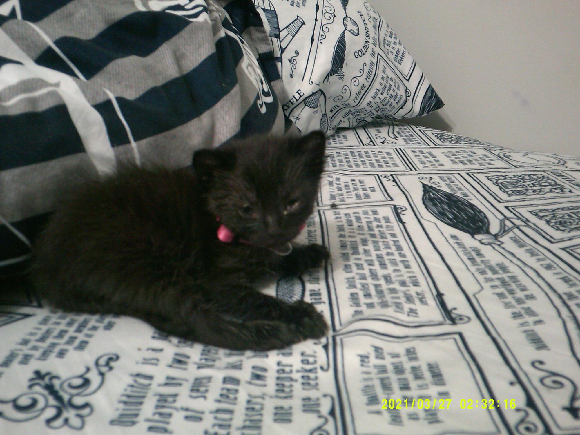 before-and-after comparison for facial rejuvenation - stem cells for face rejuvenation before-and-after comparison for facial rejuvenation - stem cells for face rejuvenation