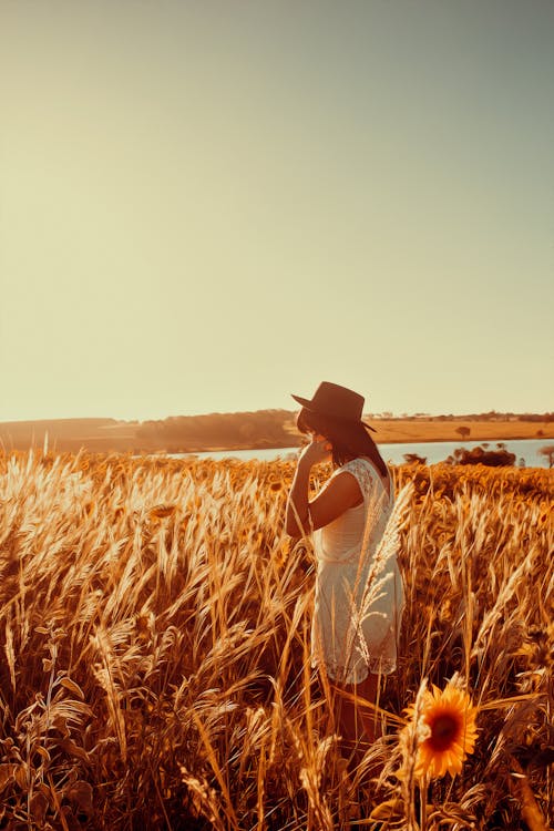 Woman in Straw Hat Walking through Sunny Wheat Field