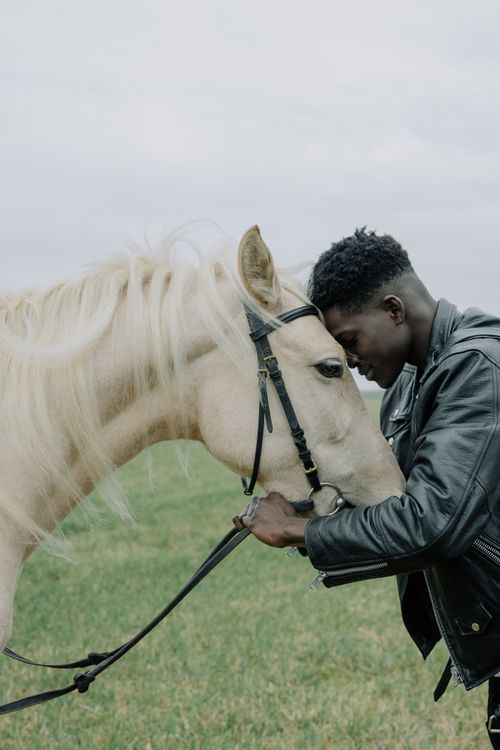 Free A man and horse share a tender connection in a grassy field, showcasing care and affection. Stock Photo
