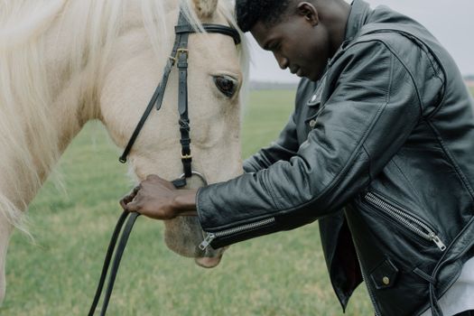 Man in Black Leather Jacket Holding Brown Horse