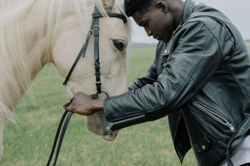 Free African American man gently interacting with a white horse outdoors. Stock Photo
