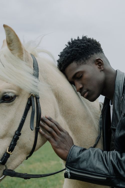 Free A heartfelt moment of connection between a man and a horse in an outdoor setting. Stock Photo