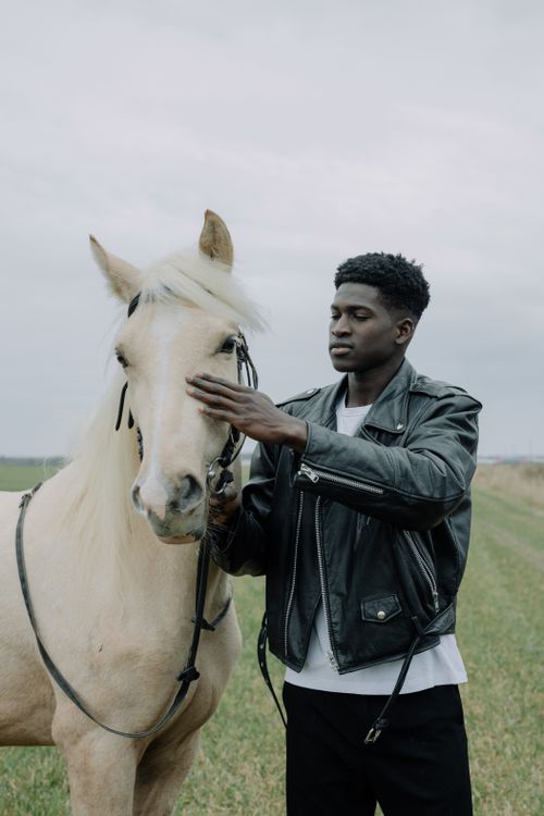 Free A man in a leather jacket pets a palomino horse in an open field during the day. Stock Photo
