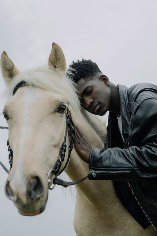Free A man wearing a black leather jacket gently embraces and leans against a horse. Stock Photo