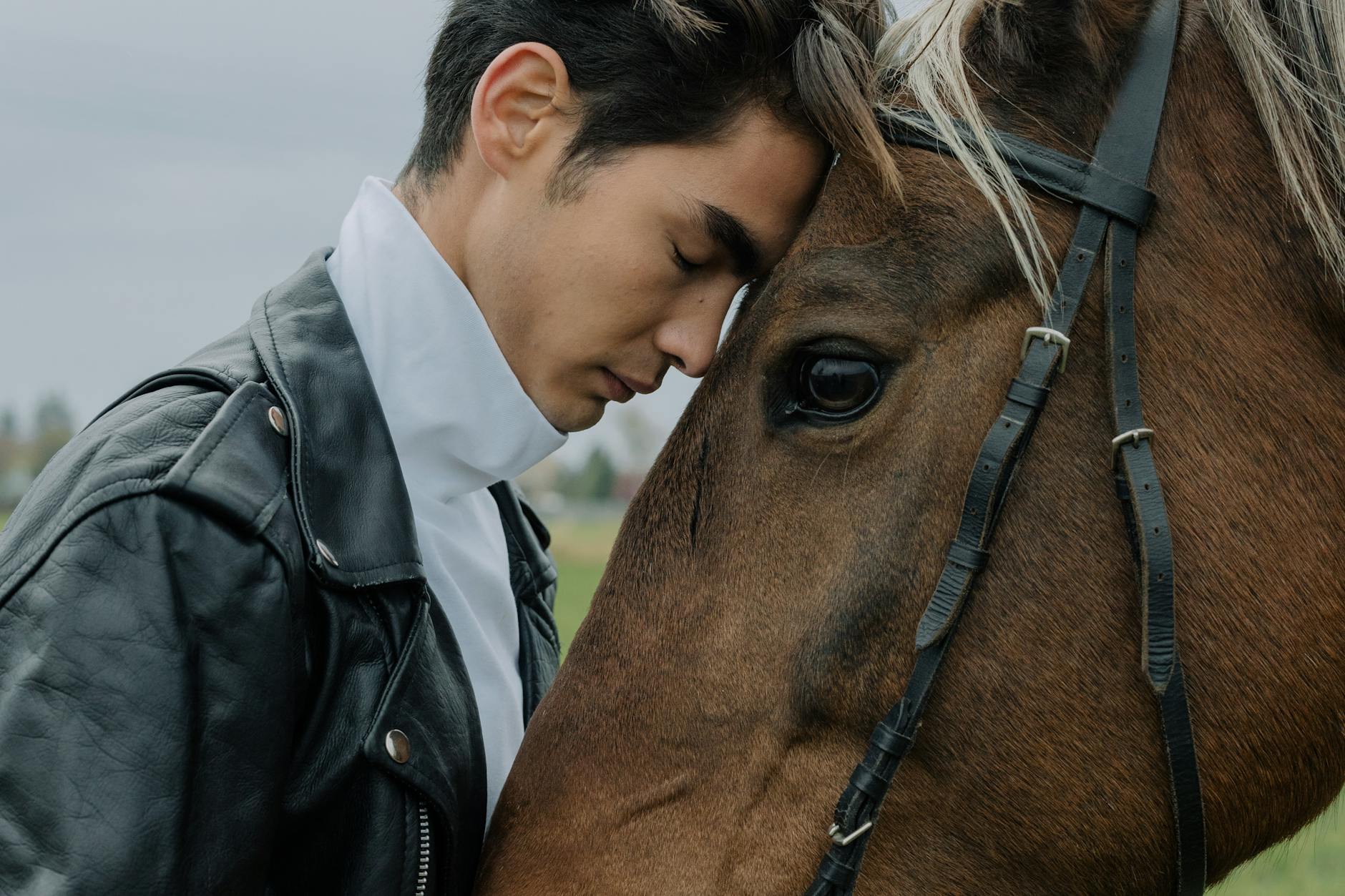 How Working Professionals Can Choose the Best Credit Card for Their Needs 1 Close-up portrait of a man gently leaning against a horse outdoors.
