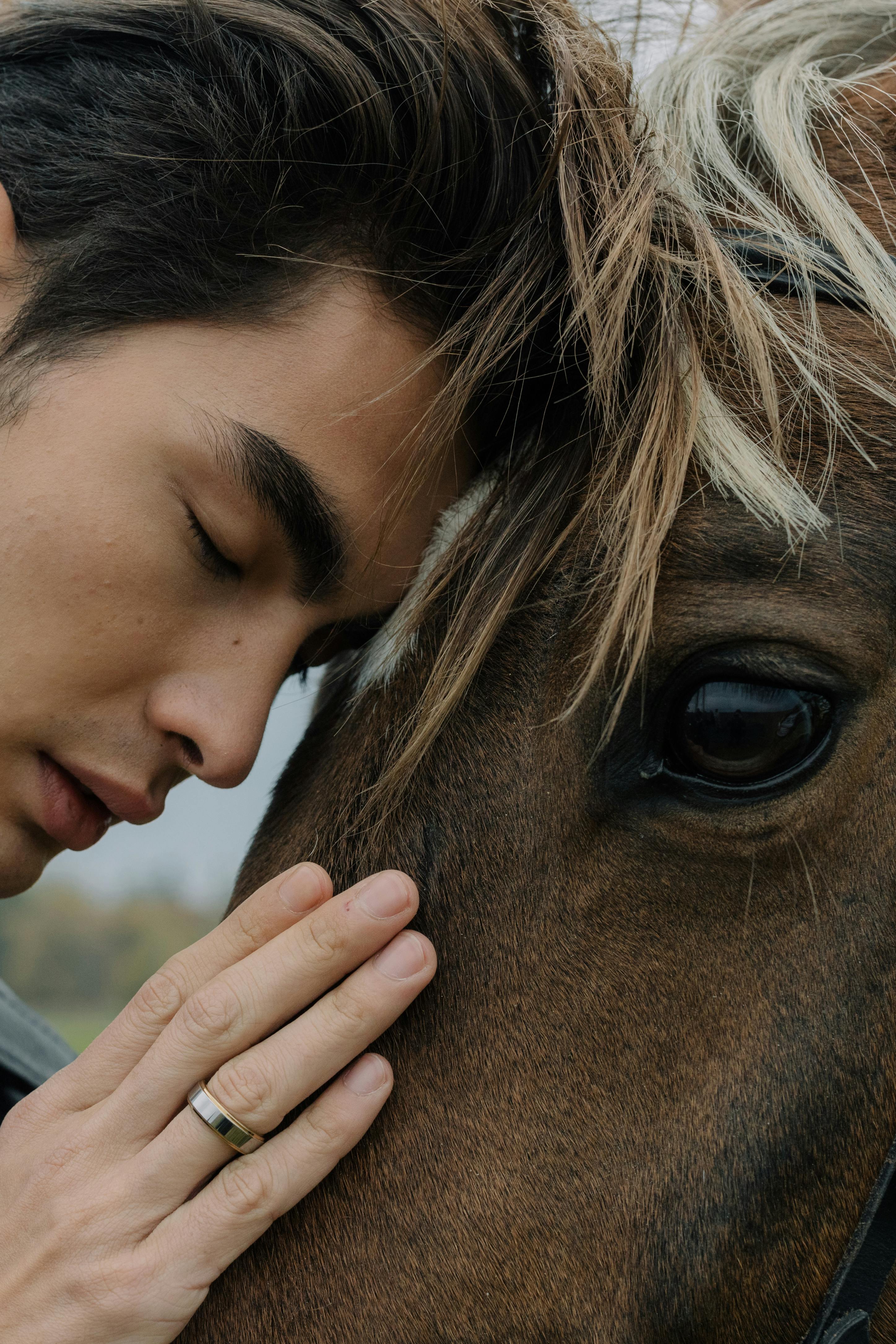 The Dark Side of Human-Animal Interactions: Understanding the Risks and Dangers
