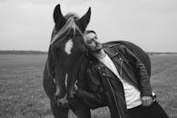 Free stock photo of animal, black leather jacket, bw