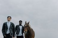 Free stock photo of animal, asian, black leather jacket