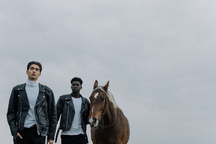 Men Walking With A Brown Horse