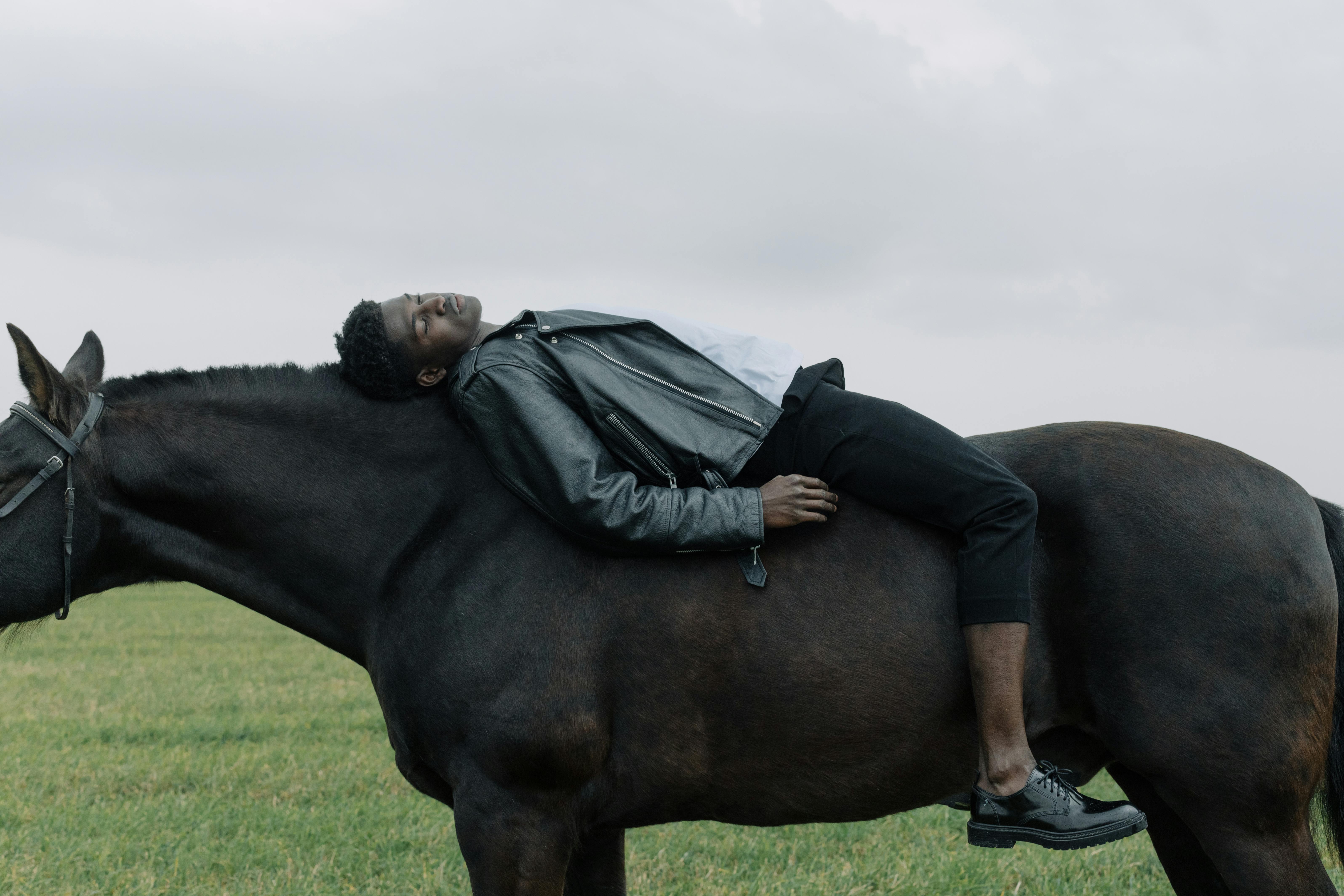 Cavalo Preto Fotos e Imagens para Baixar Grátis