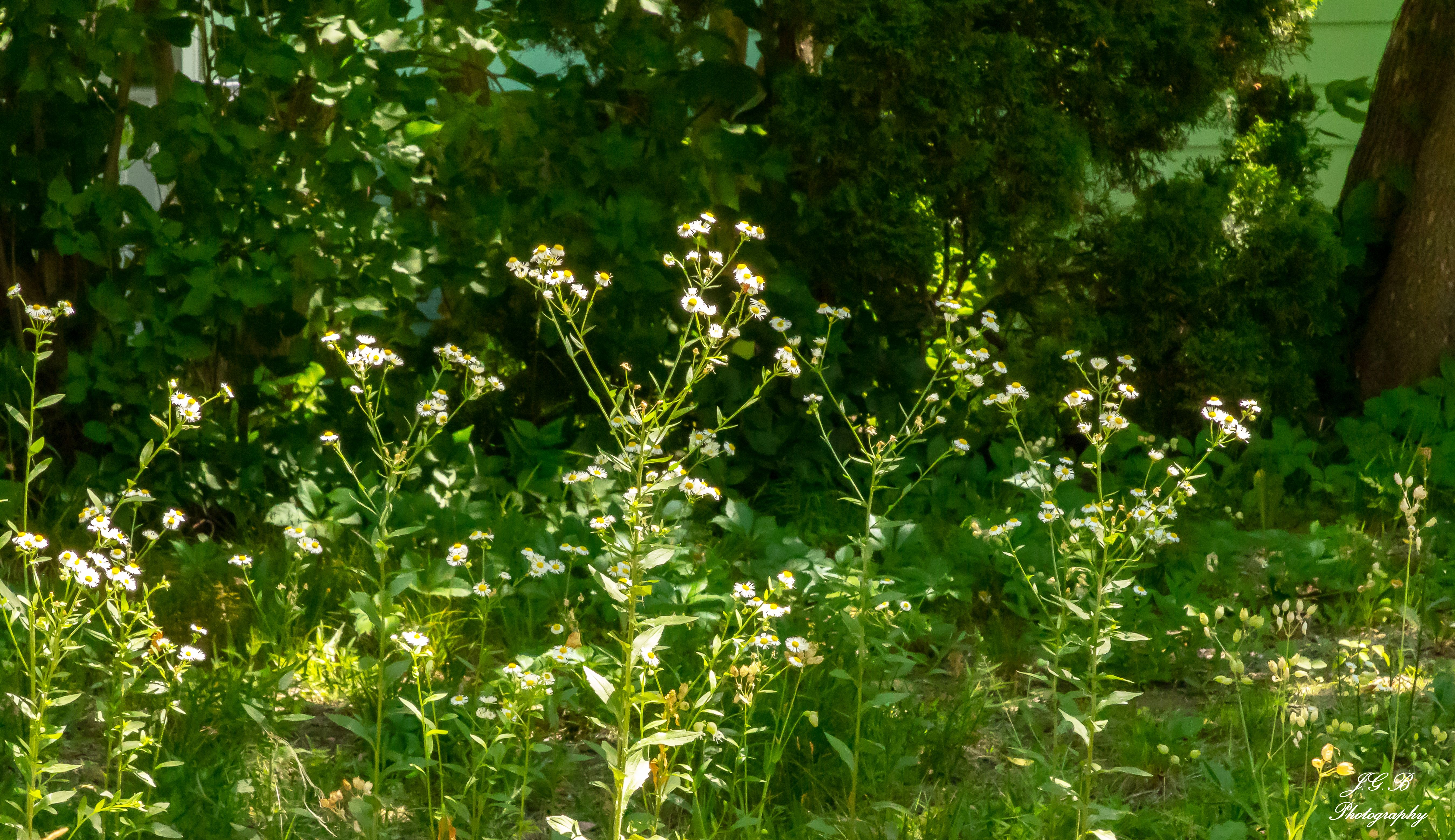 Femme détendue portant un ensemble fluide et confortable en coton bio