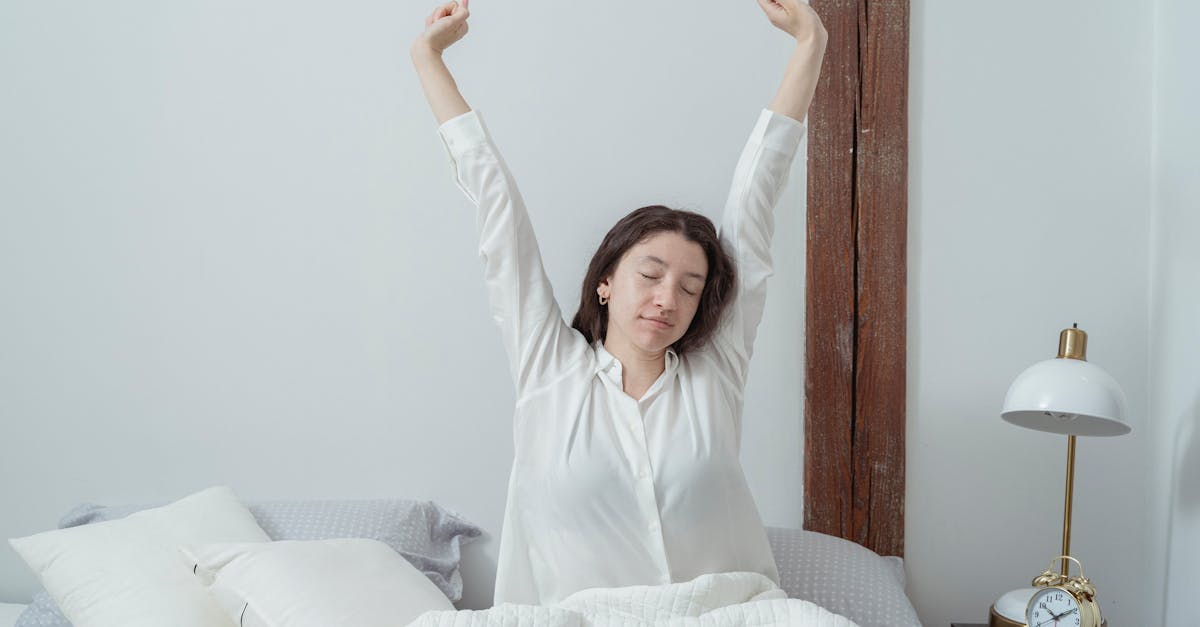 What does white elephant mean in a dream