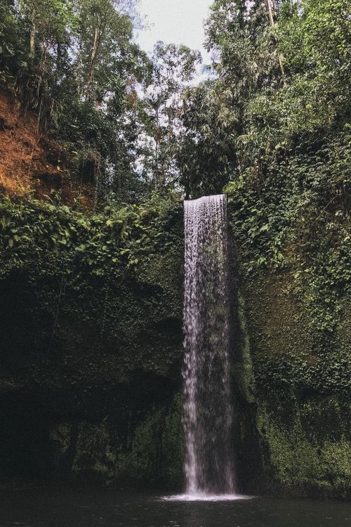 Free Serene waterfall cascading in a verdant rainforest, capturing the essence of untouched nature. Stock Photo