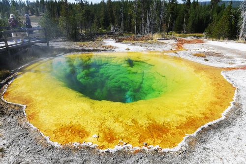Free Stunning view of Morning Glory Pool, a vibrant hot spring in Yellowstone National Park. Stock Photo