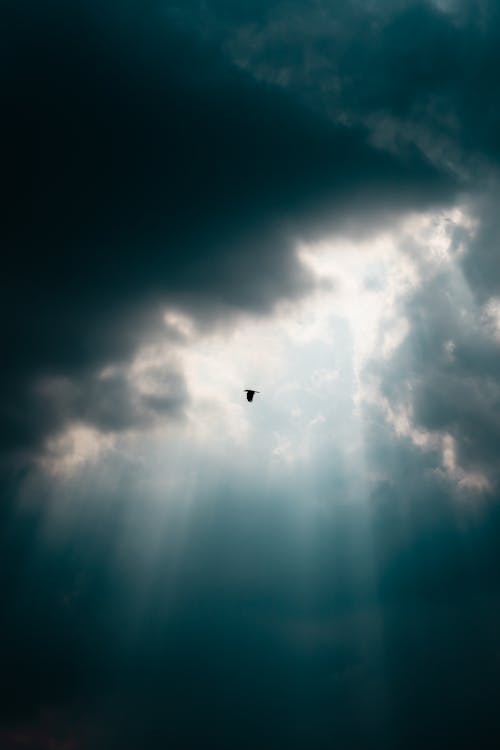 Kostenloses Stock Foto zu bewölkter himmel, natur, sonnenlicht