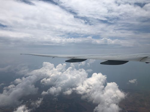 Základová fotografie zdarma na téma denní světlo, jasná modrá obloha, křídlo letadla