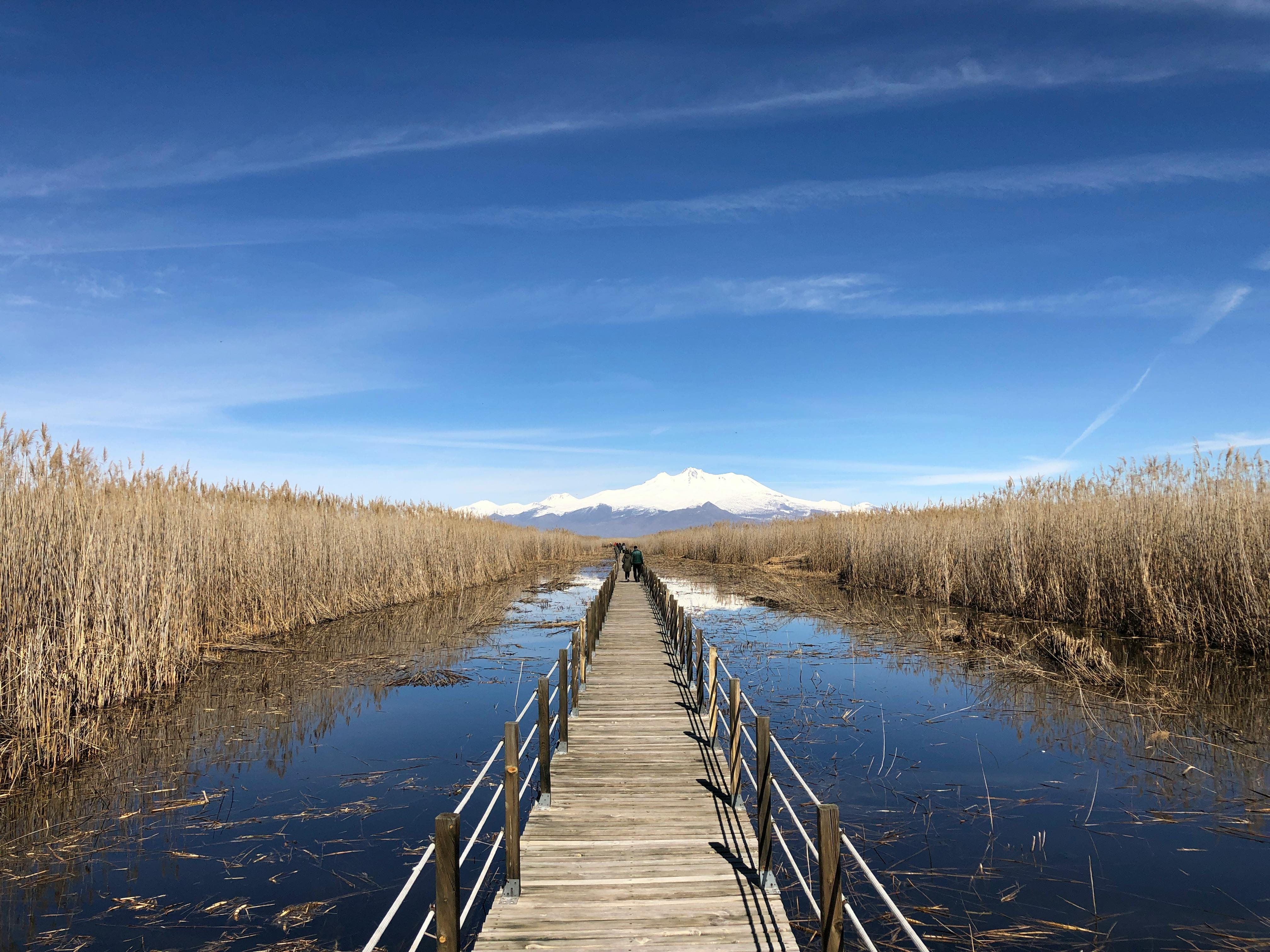 Gregory Lake in Nuwara Eliya with walking path and mountain backdrop