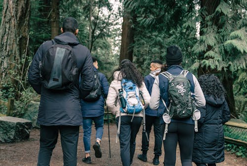 People Hiking in a Forest