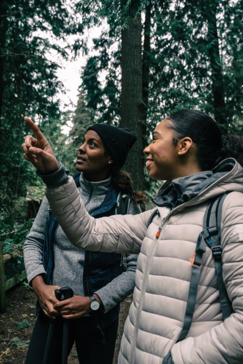 Free Two friends exploring nature in hiking gear, enjoying a conversation during a forest adventure. Stock Photo