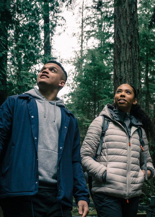 Free Two hikers enjoying a serene walk through a lush forest, capturing friendship and adventure. Stock Photo