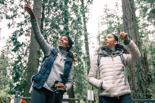 Free Two women enjoying a hike in the forest, pointing and exploring nature. Stock Photo
